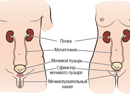 Исследования