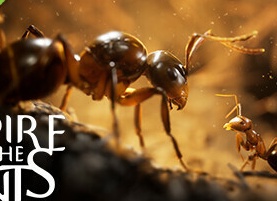 Азы тактики в ПВП. The Ants Underground Kingdom.