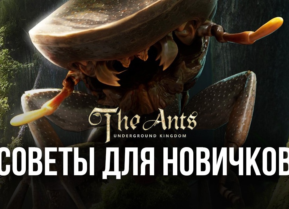 Советы новичкам в The Ants: Underground Kingdom